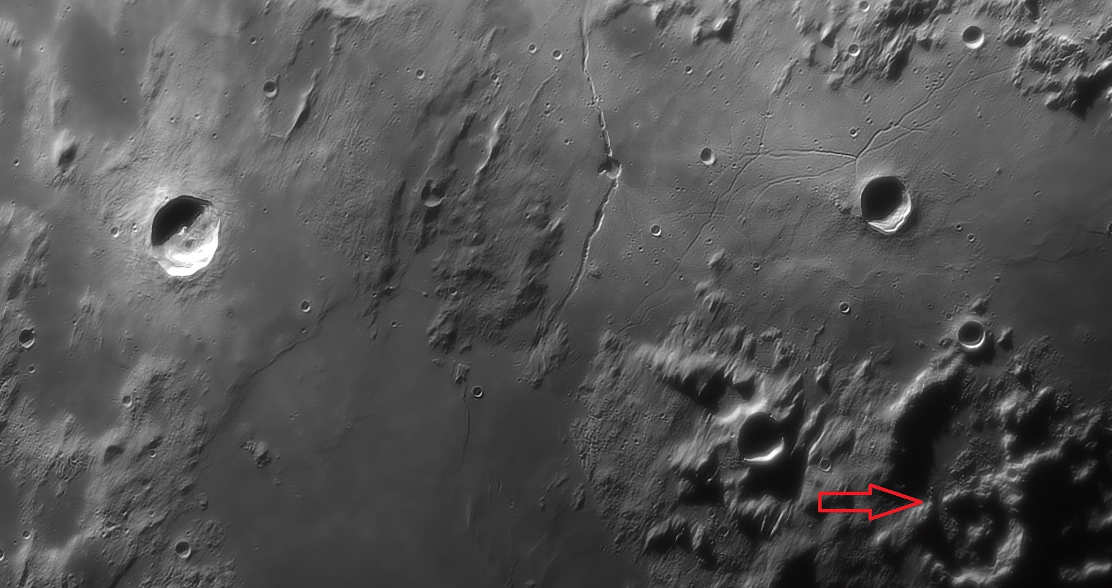 2023-03-04 102907.jpg