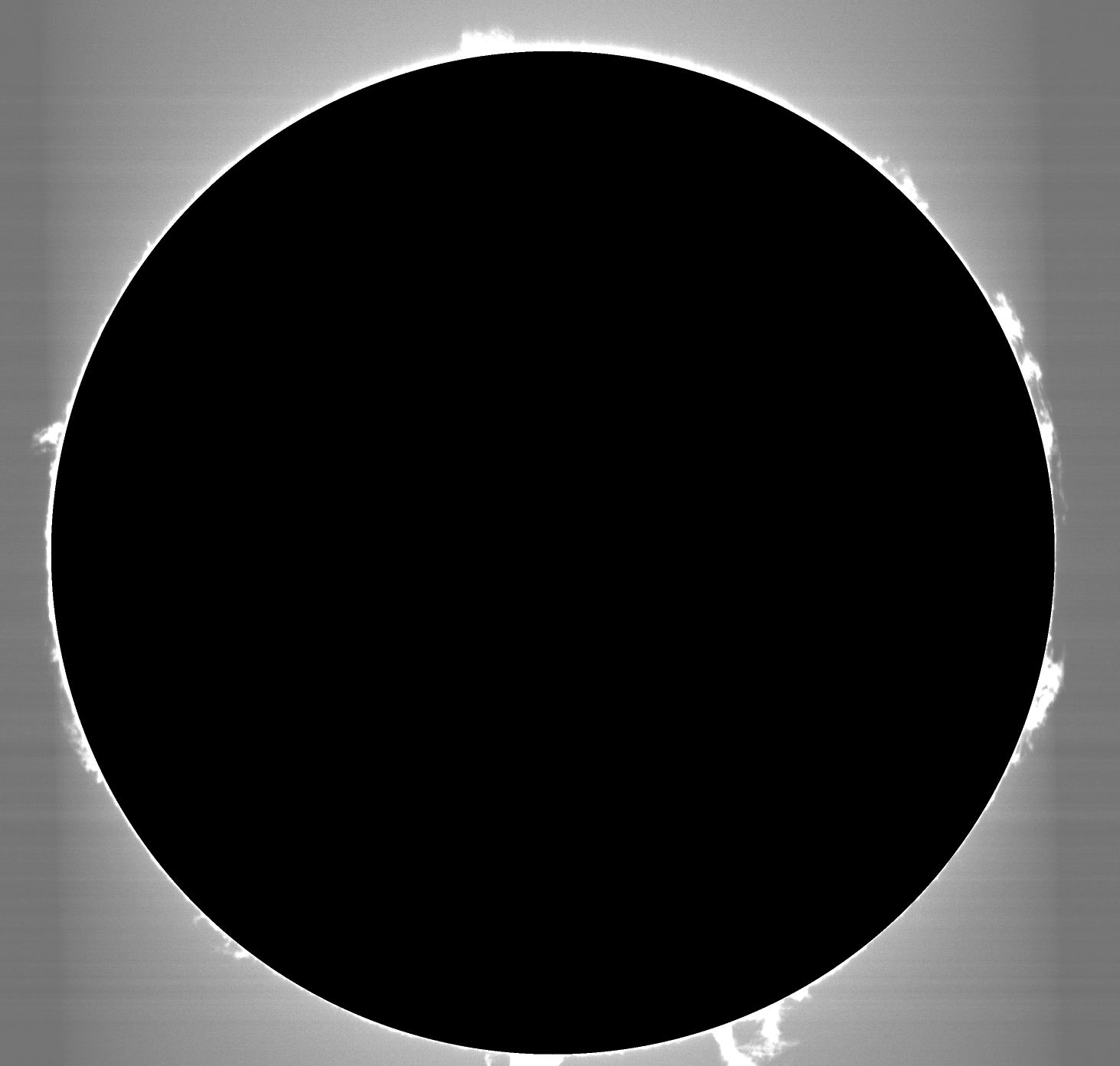 2023-08-17-1327_9-SHG_shift=0_protus.jpg