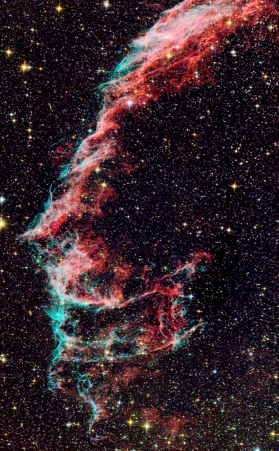 20230221_164358.jpg
