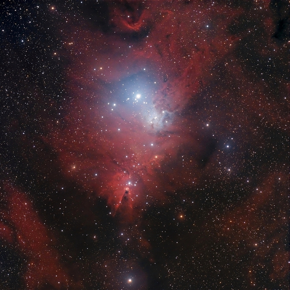 NGC 2264 | Forum Astronomie.de