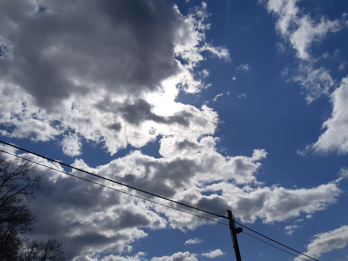 20230425_102119.jpg