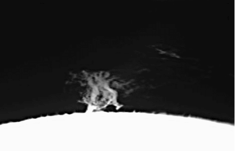 20230627_202741.gif