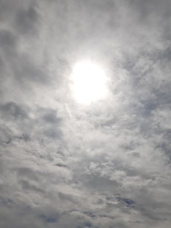 20230802_123119.jpg