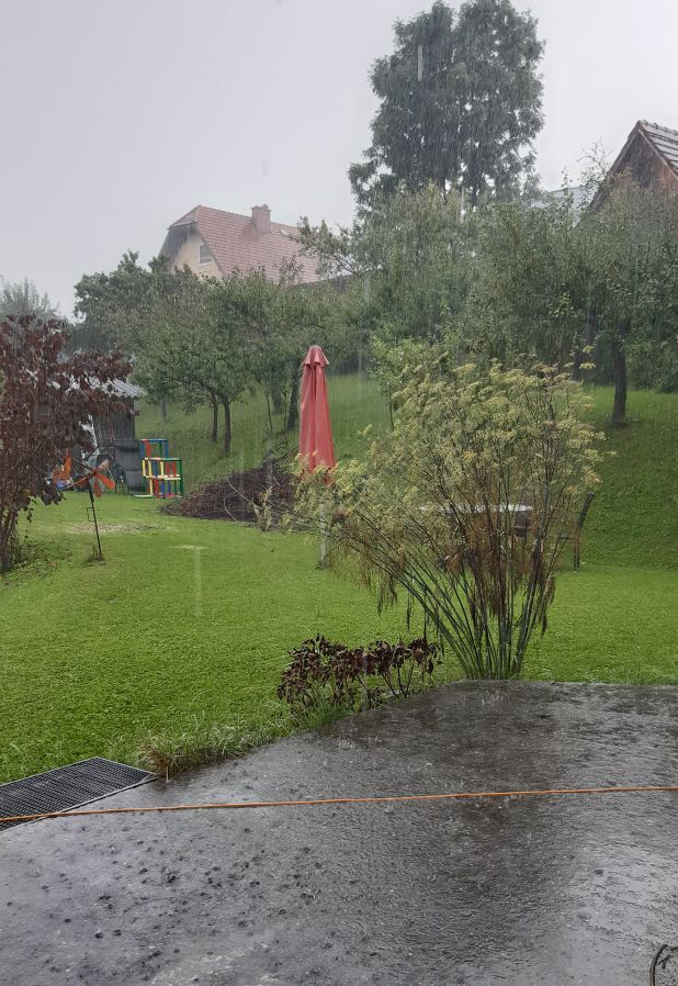 20230816_160556.jpg