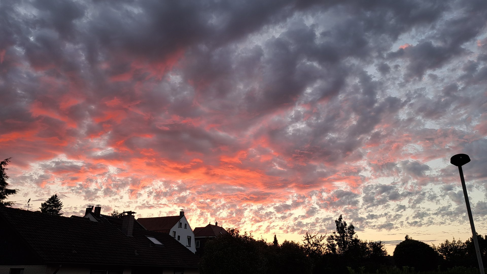 20230819_205216.jpg