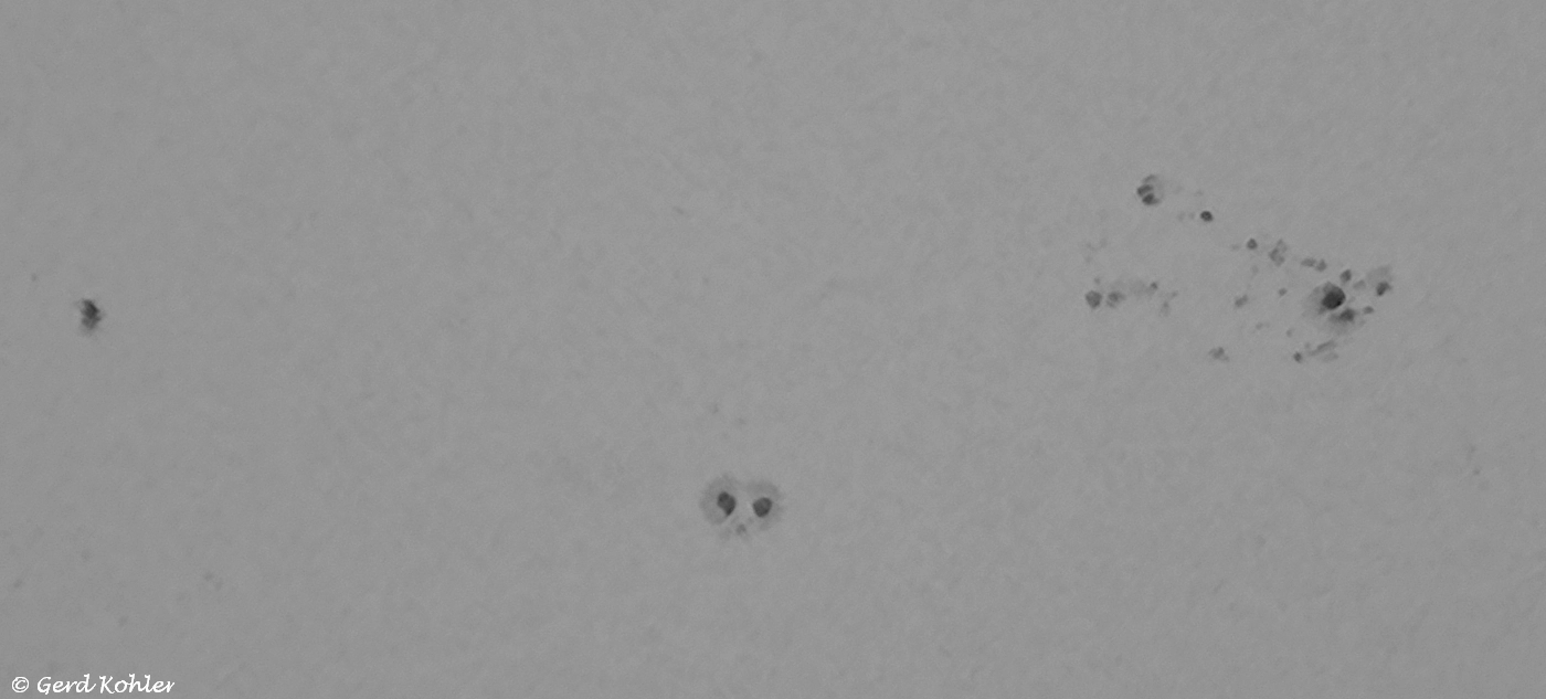 2024-03-08-AR-3599.jpg