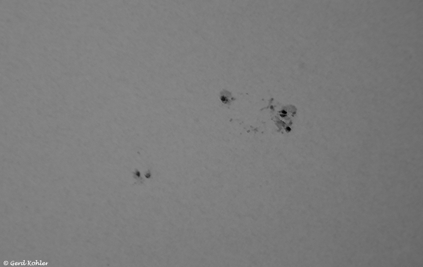 2024-03-09-AR-3599.jpg
