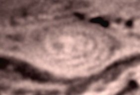 2024-10-28-2311_4-RGB_lapl5_ap129_Drizzle15a.jpg