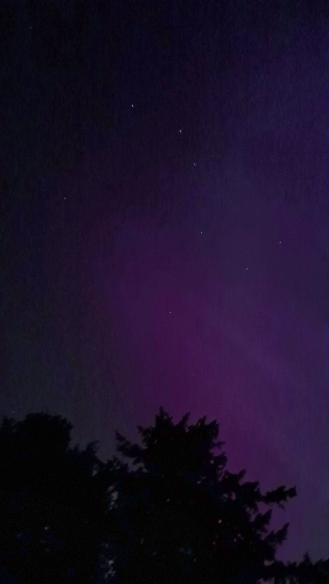 20240511_002246.jpg