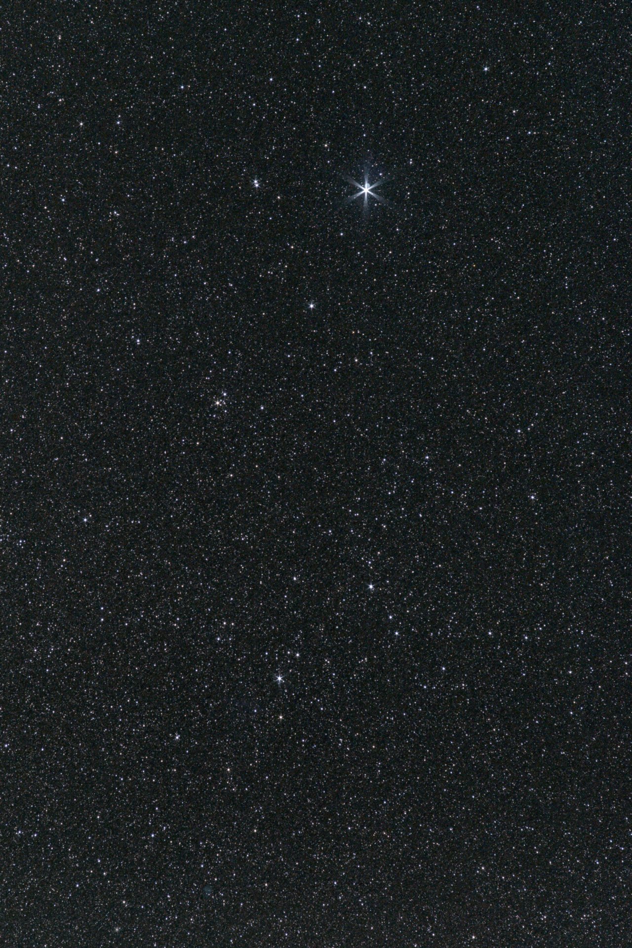 20240730_lyra_a6000_85mm_small.jpg