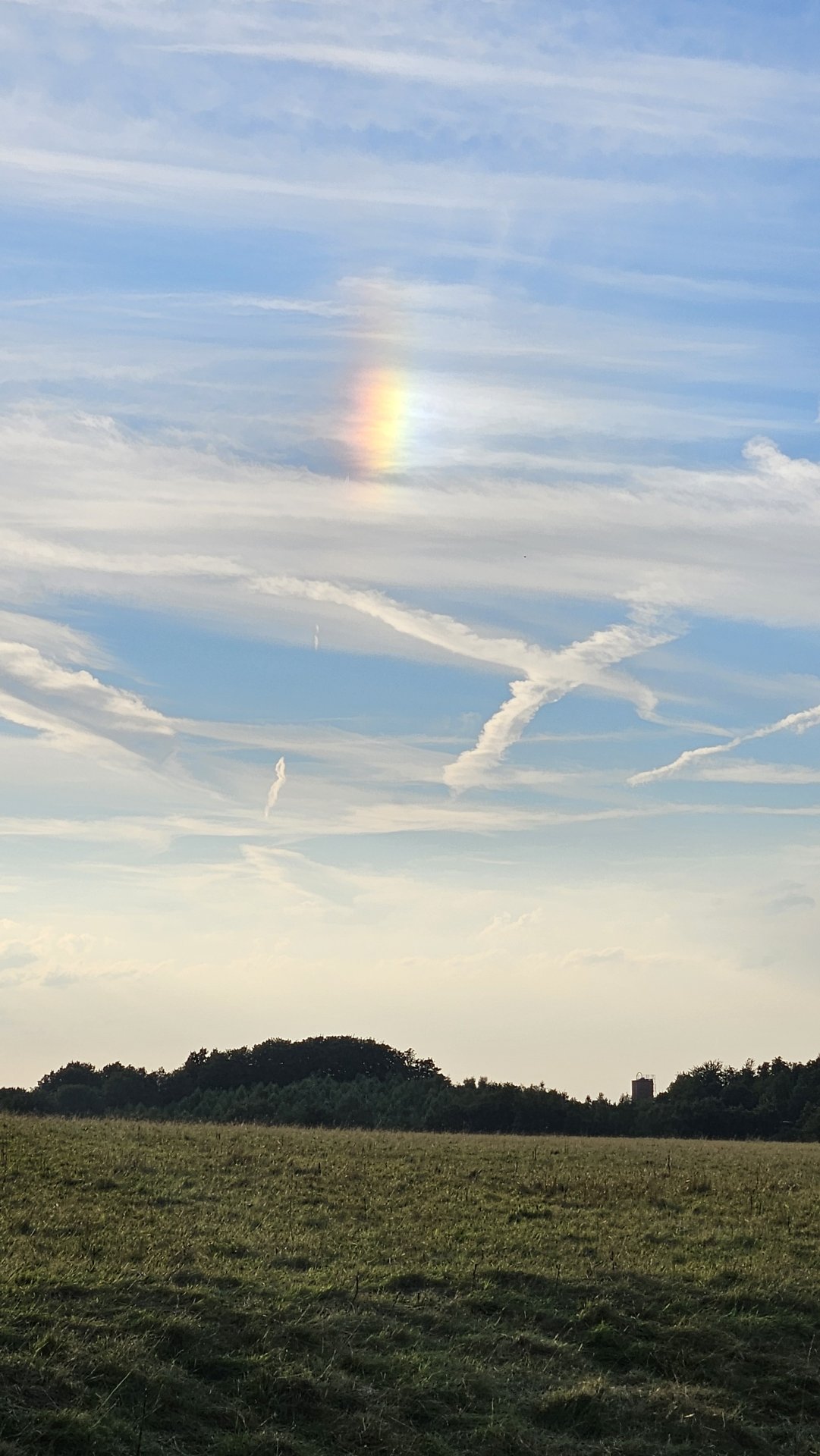 20240815_193056.jpg