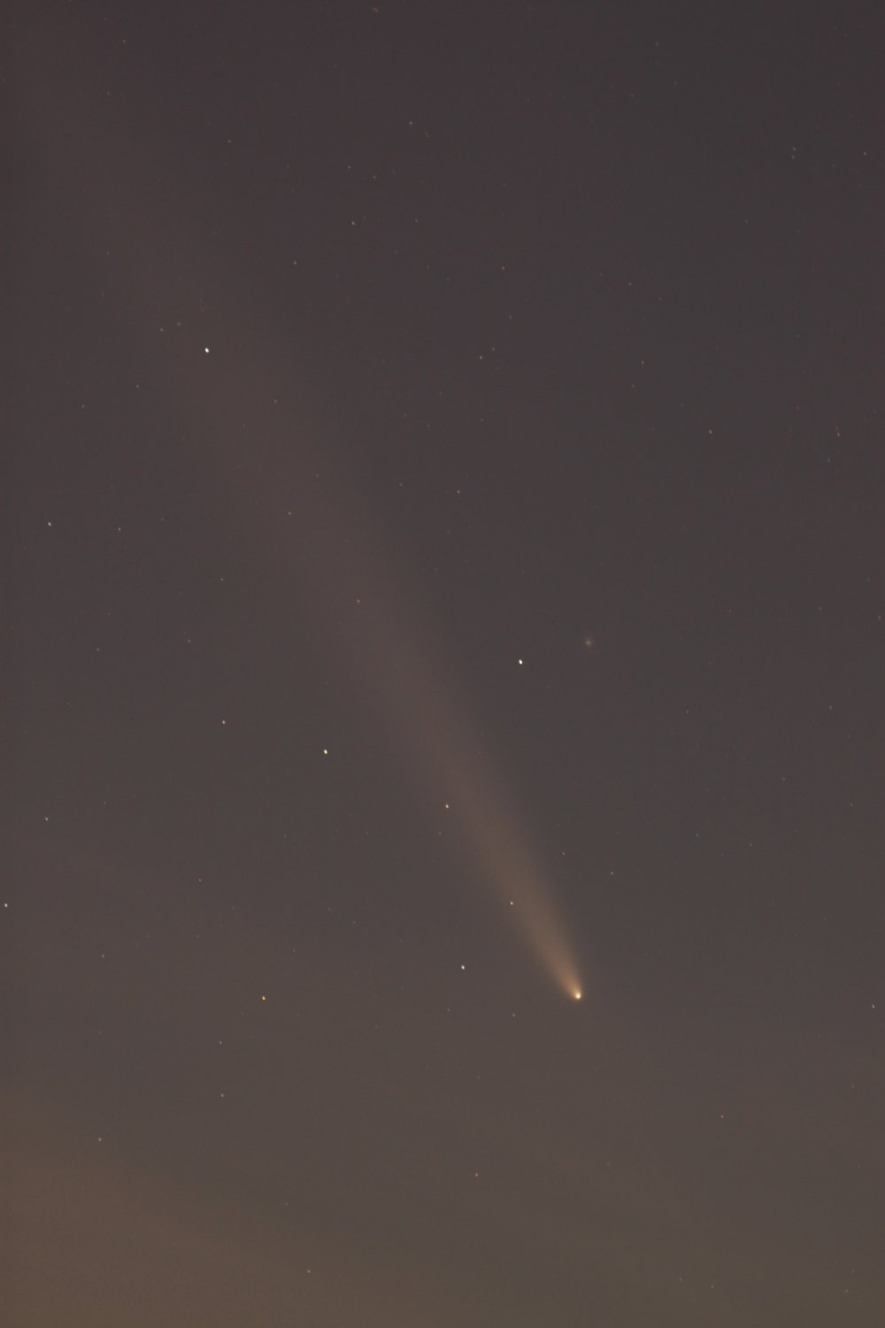 20241015x300mm.jpg