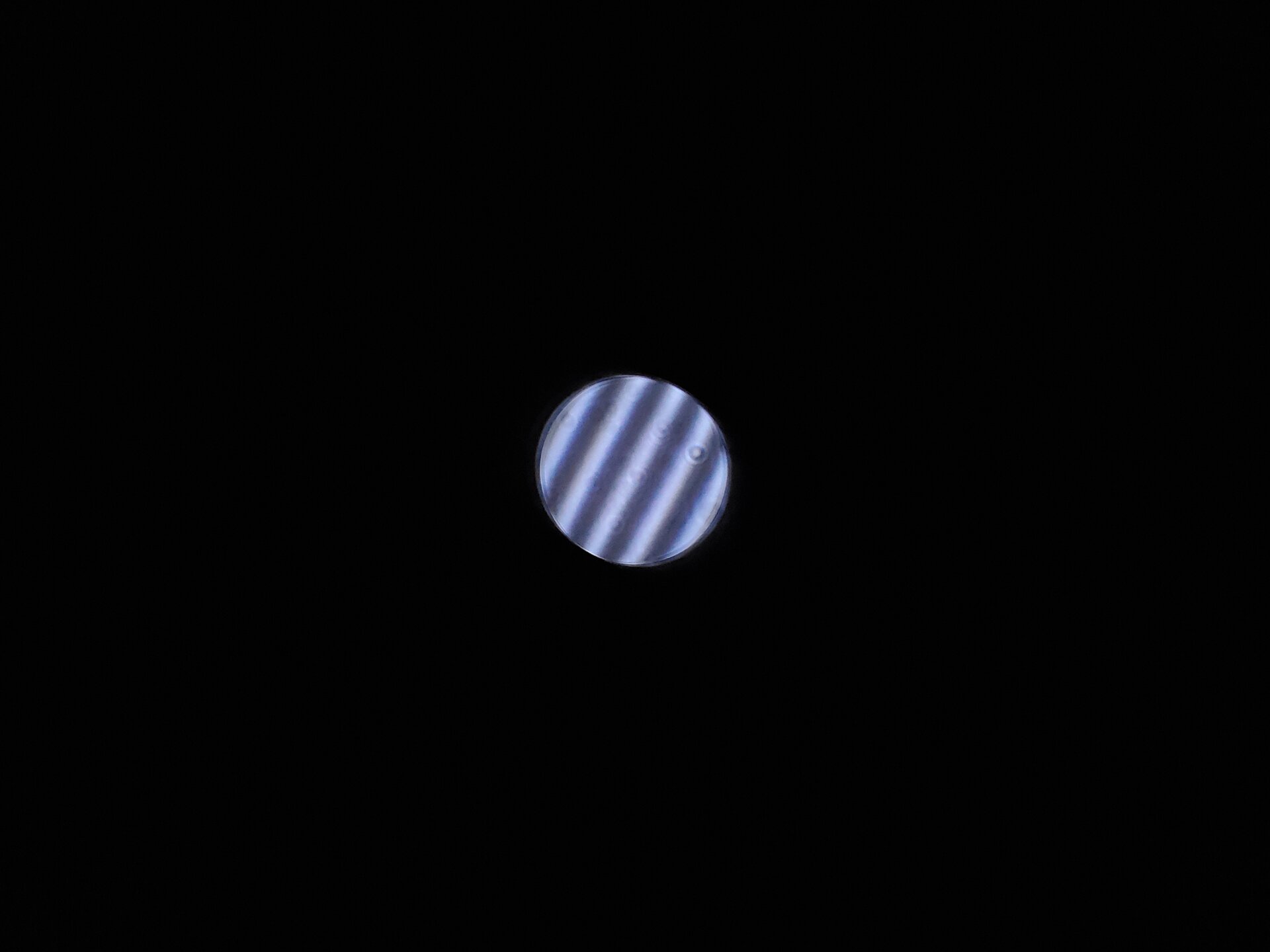 20241220_170826.jpg