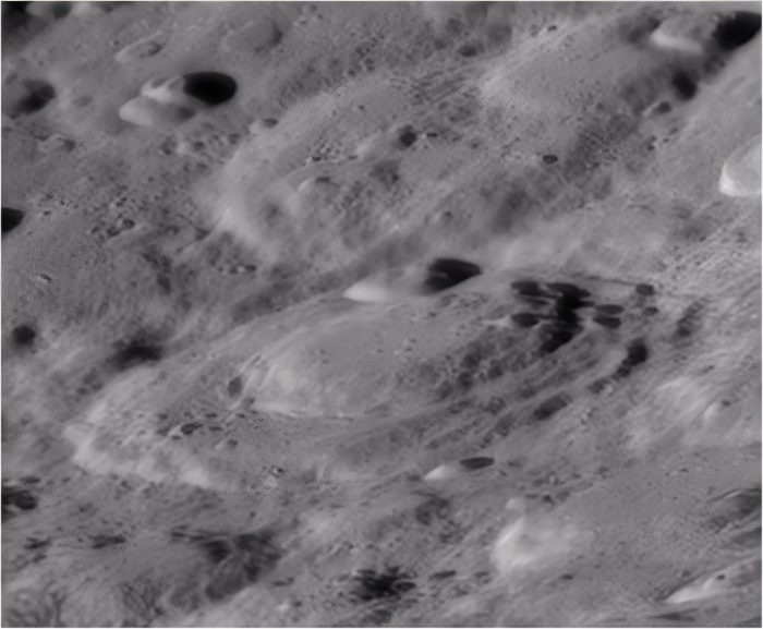 2025-02-05-200354-Moon-Bin1+28,3C_pss_gpp_WS_25_crop~3.png
