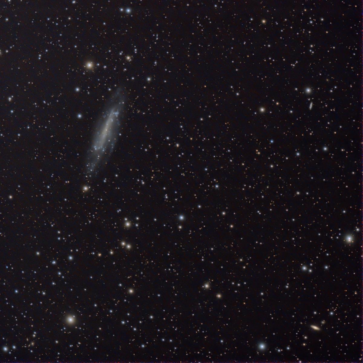 2025-02-18_1941UT_75x120s_NGC4236-web.jpg