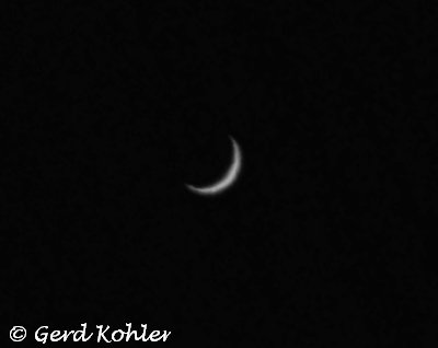 2025-03-07-Venus.jpg