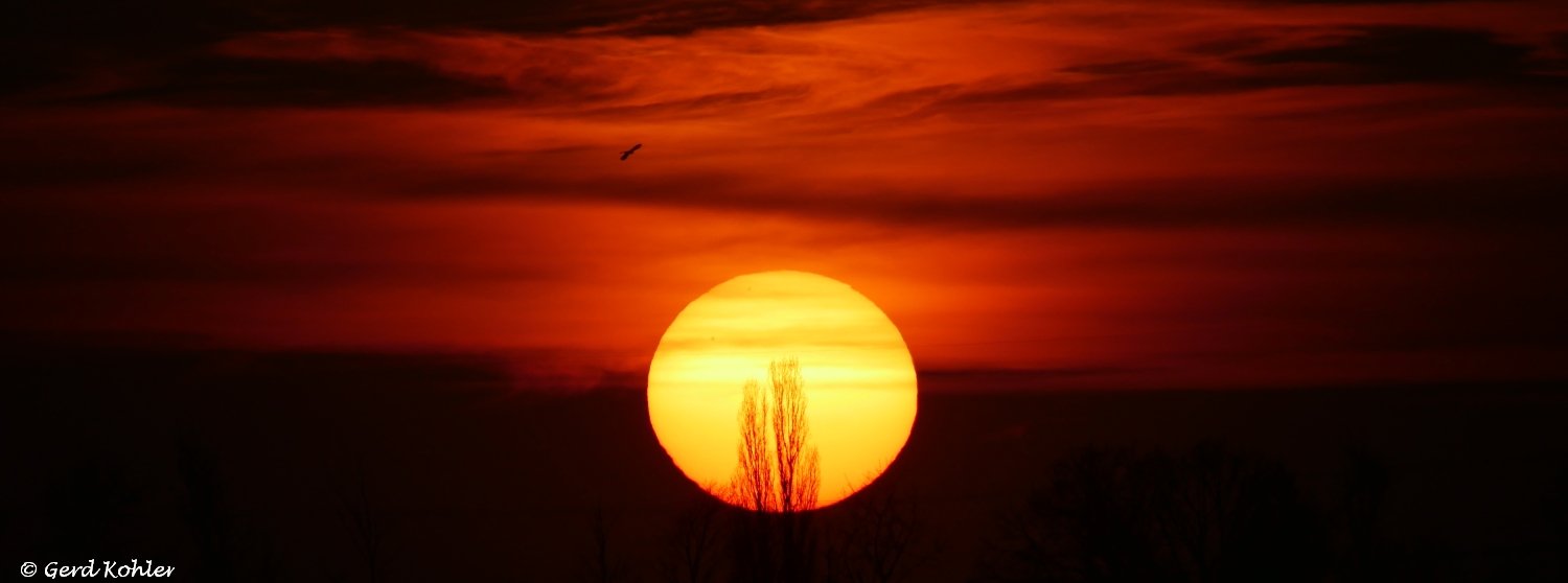 2025-03-08-Sonnenuntergang.jpg