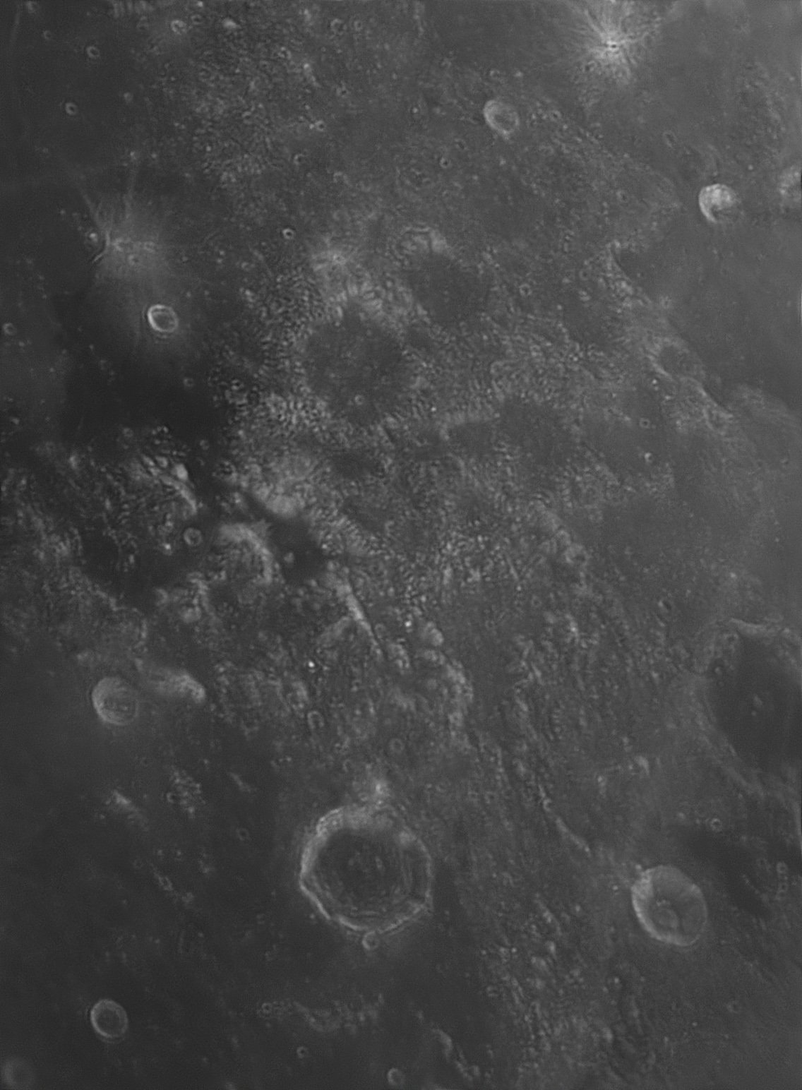 2025-03-09-1922_3-Capture_lapl3_ap2396wloknexok.jpg