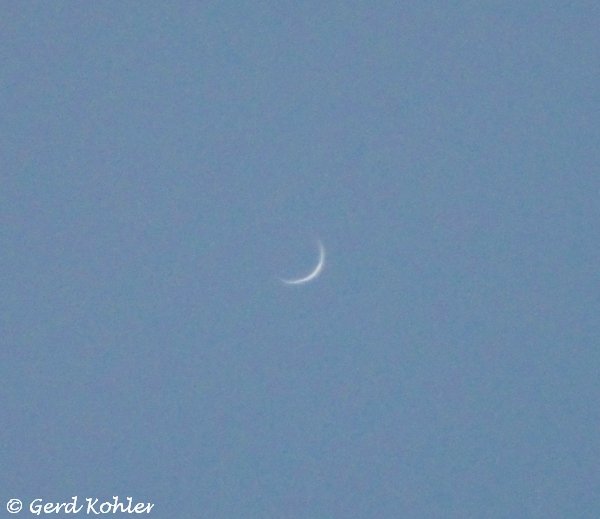 2025-03-16-Venus.jpg