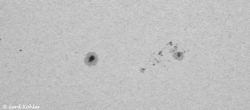 2025-03-19-AR-14028-30.jpg