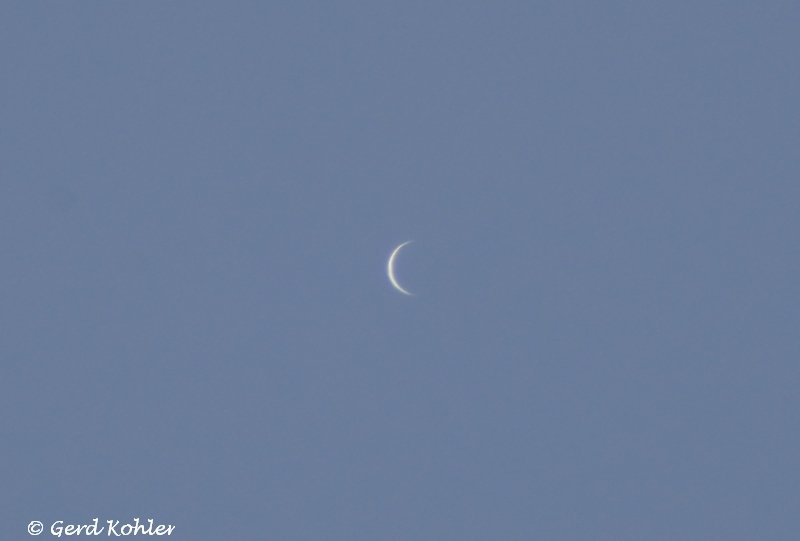 2025-04-04-Venus.jpg