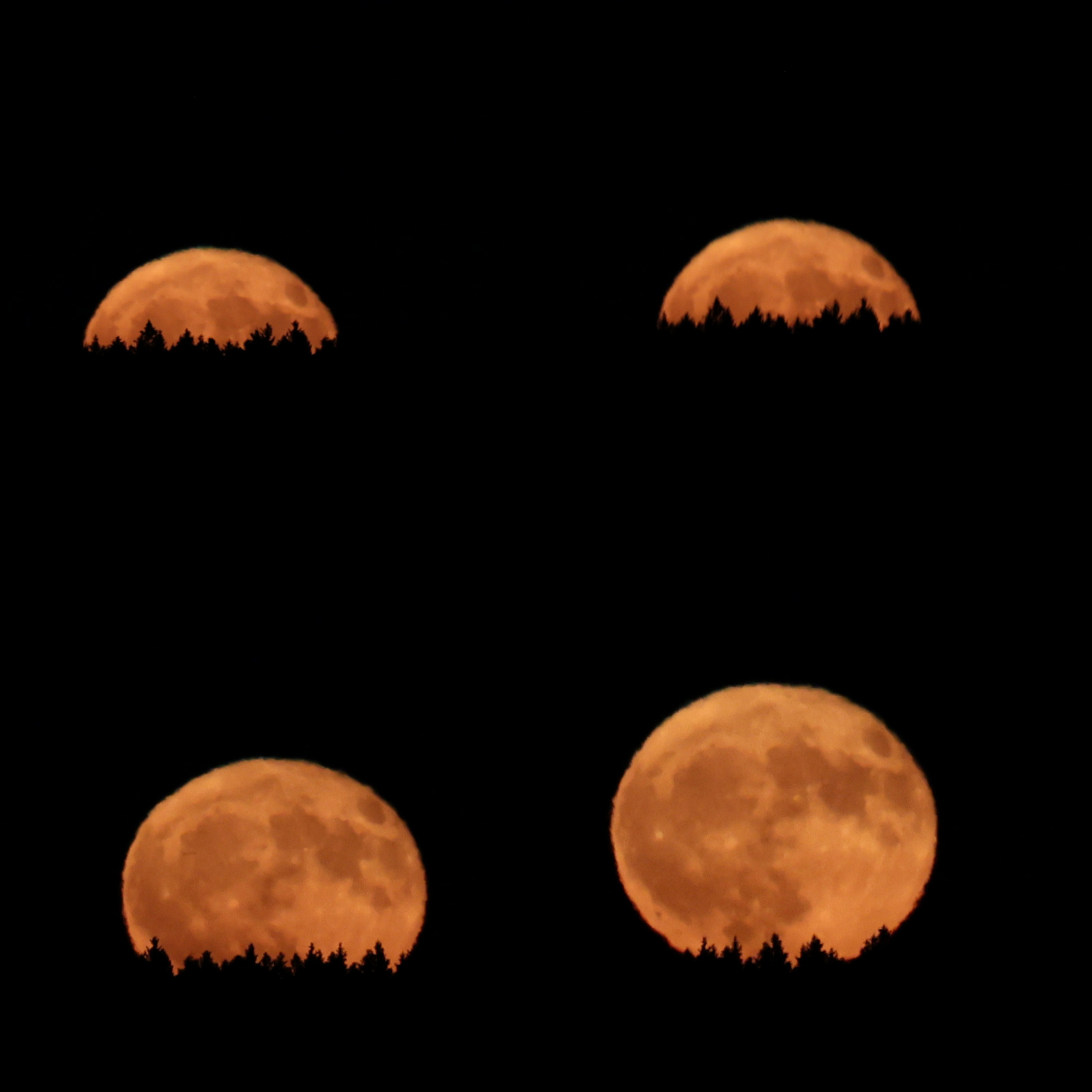 2025-06-11.jpg