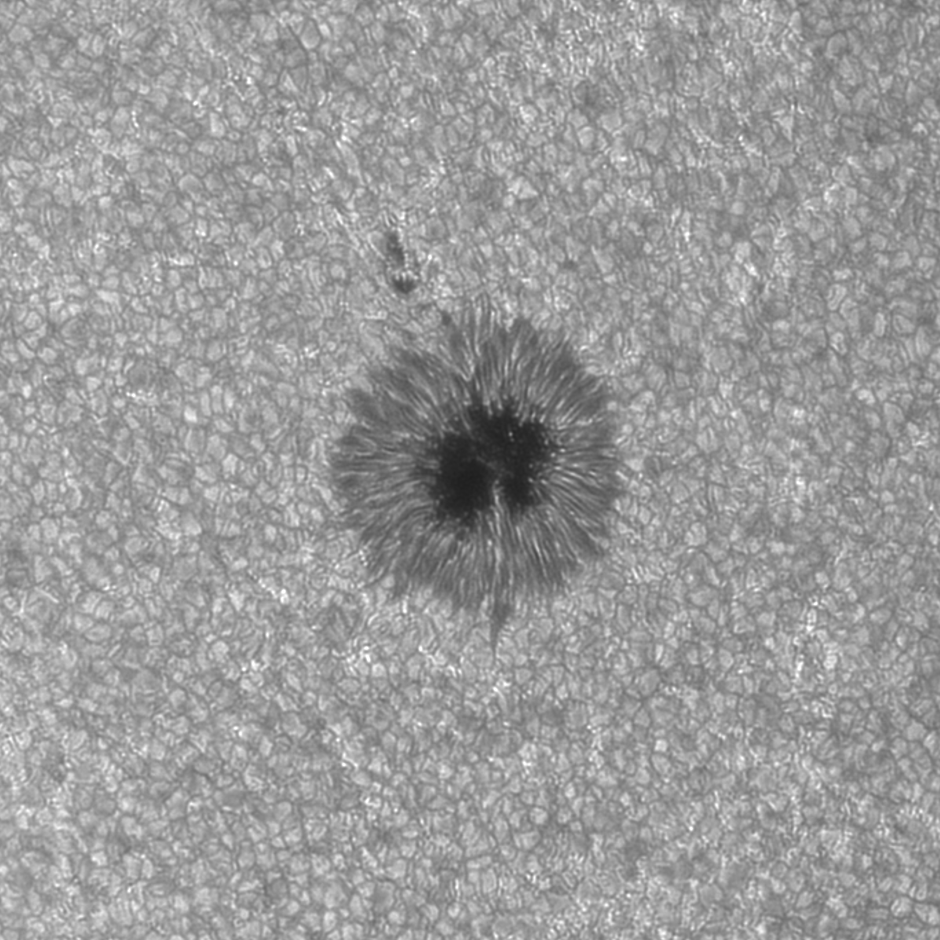 2025-07-02-0630_8-Sonne 250-3400-G-2nm_F5-AR4122-Detail.jpg