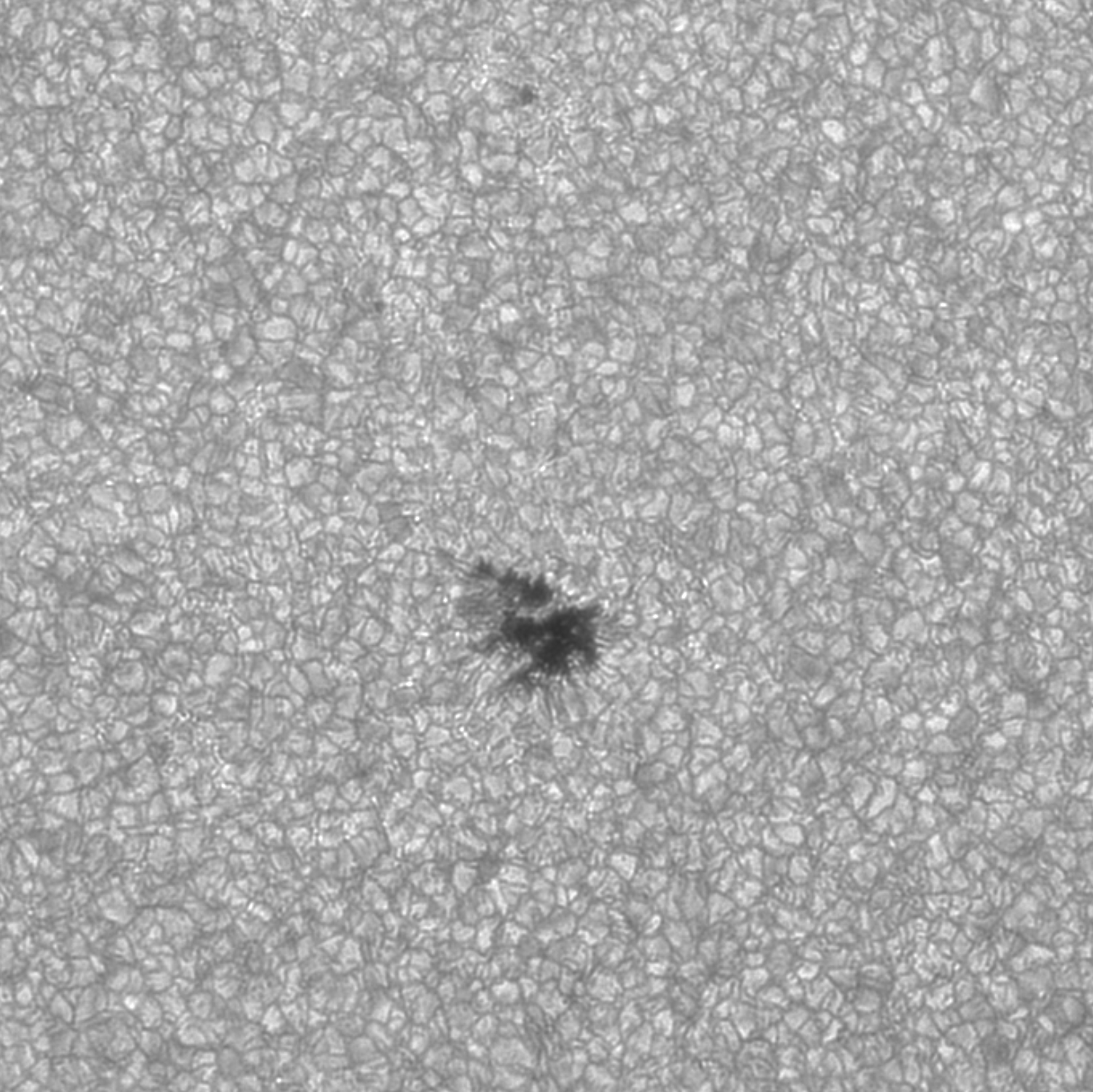 2025-07-02-0630_8-Sonne 250-3400-G-2nm_F5-AR4131-Detail.jpg