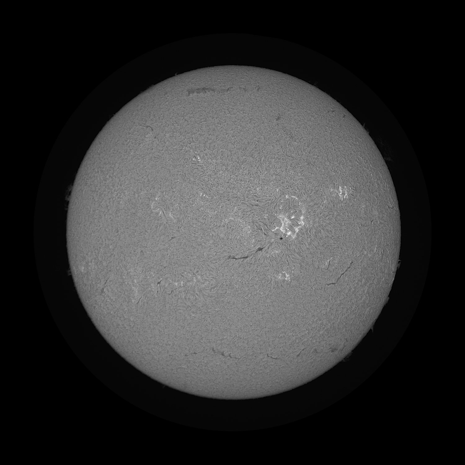 2025-10-30-Sonne-H-alpha.jpg
