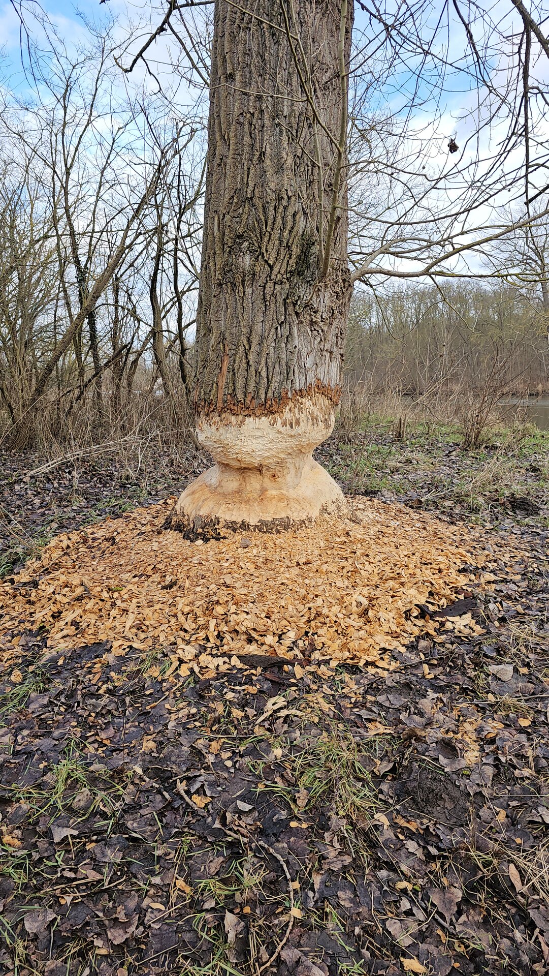 20250126_131427.jpg