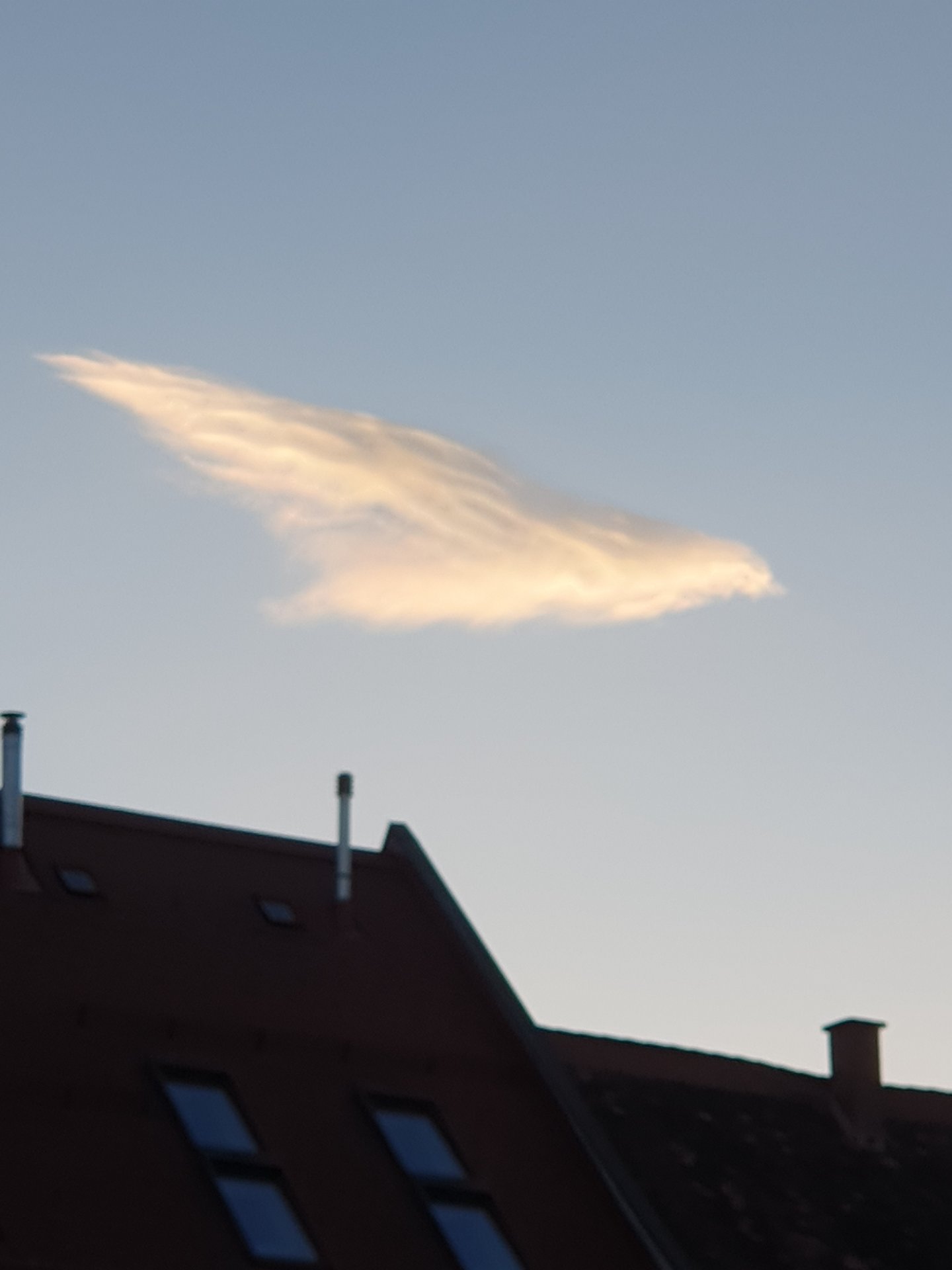20250205_170035.jpg