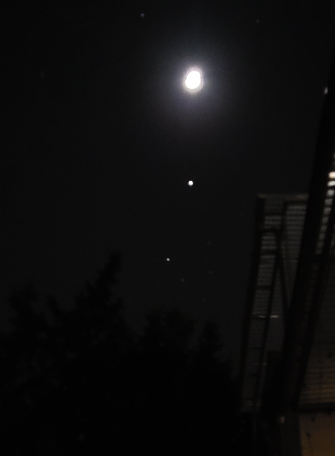 20250306_203138.jpg