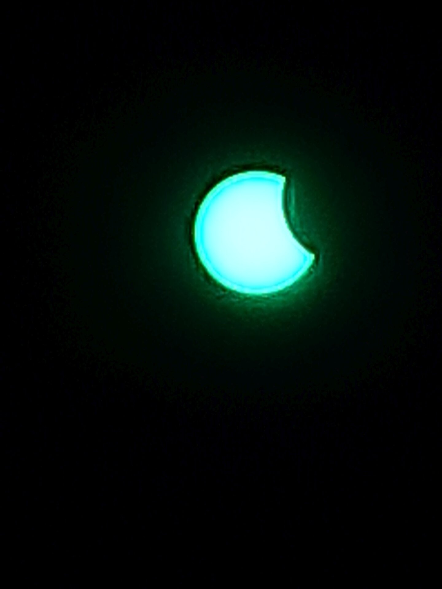 20250329_115845.jpg