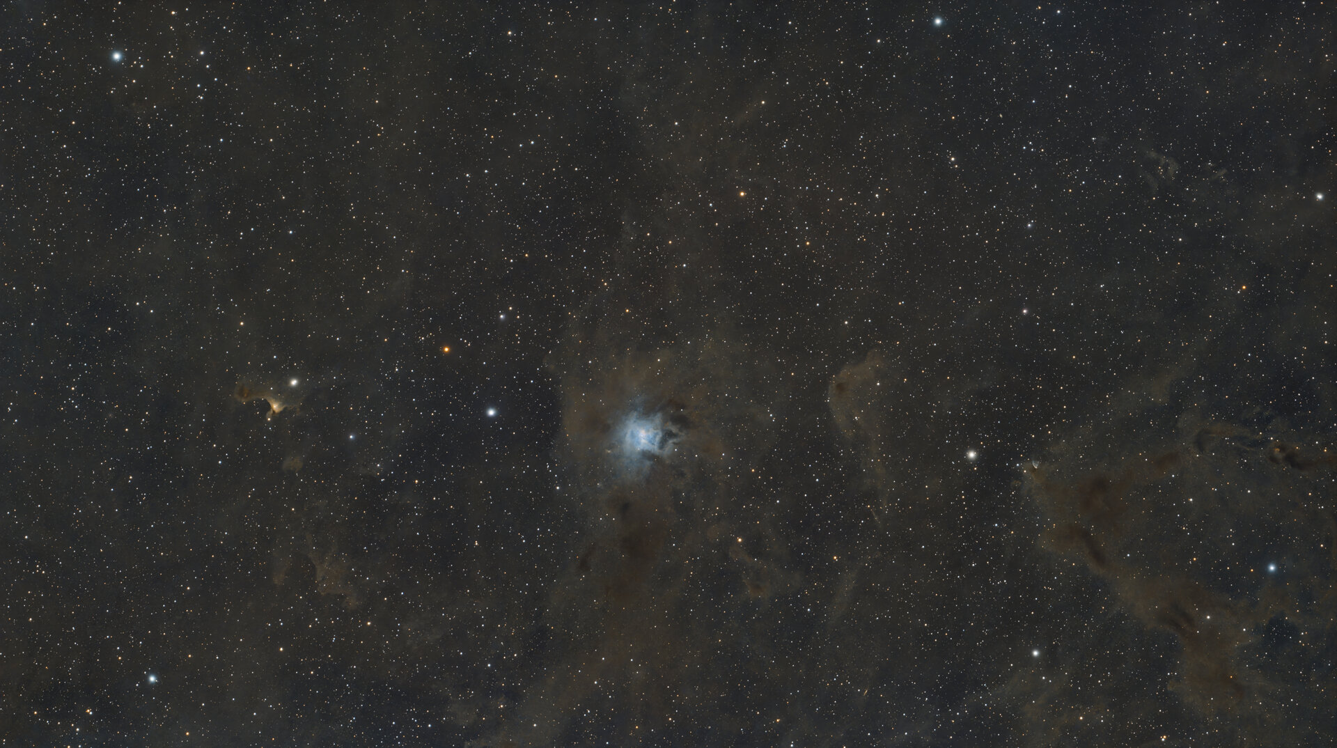 2025_06_02_NGC7023_SV555_TT2600mc_113x120.jpg
