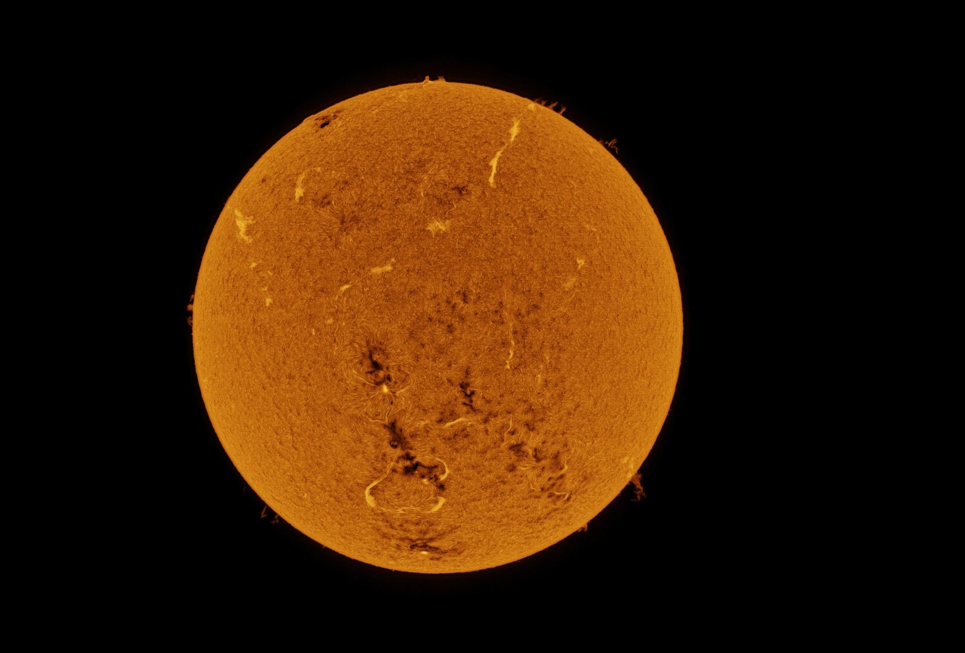 2026-03-08-1044_Sun_Inve.jpg
