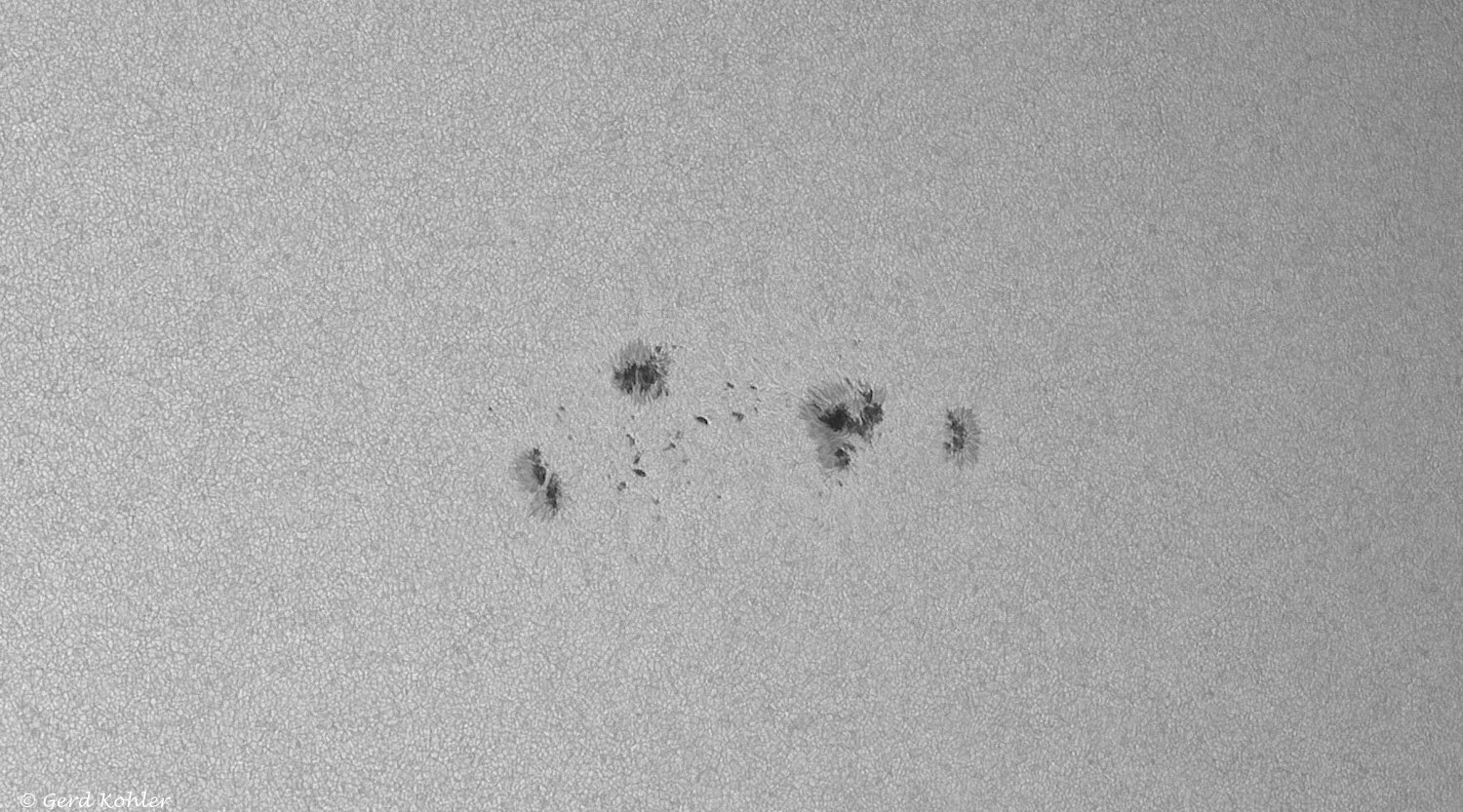 2026-05-21-AR-14441.jpg