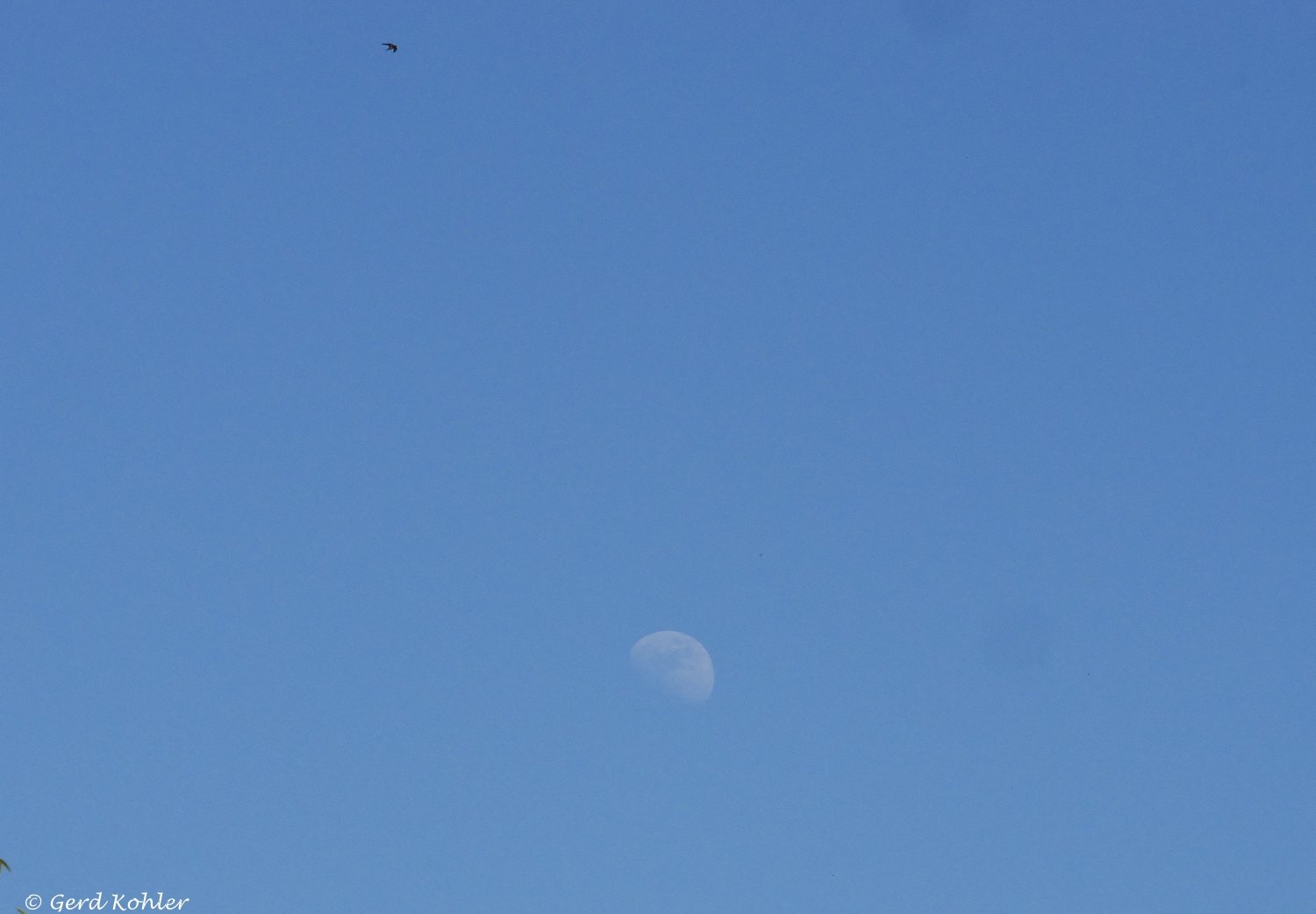 2026-05-25-Mond.jpg