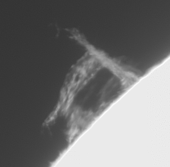 2026-05-29-0920_2-U-L-Sun_g4_ap38_conv_aligned_pipp.gif