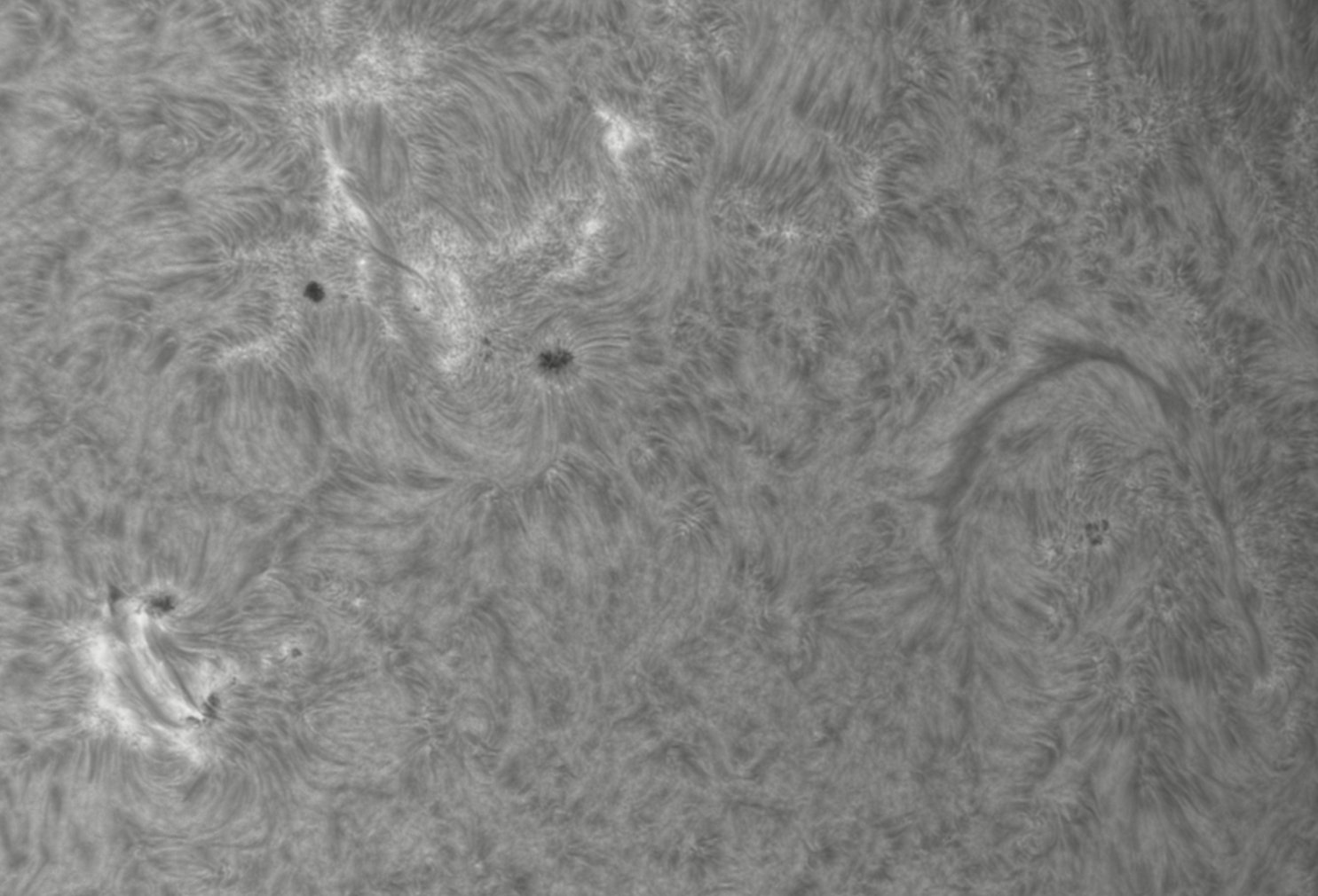 2026-06-10-0702_7-CapObj_lapl3_ap9536.jpg