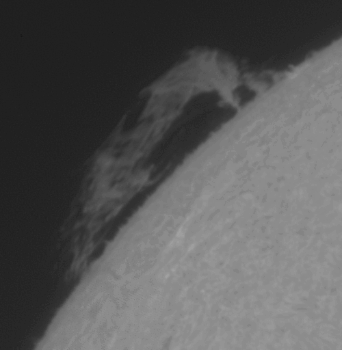 2026-06-13-1452_9-U-L-Sun_Halpha_g4_ap19_conv_aligned_pipp.gif