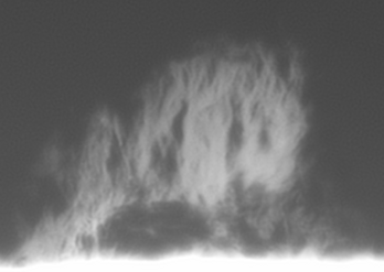 2026-06-18-0742Gamma=50(off)_lapl3_ap104_out_aligned.gif