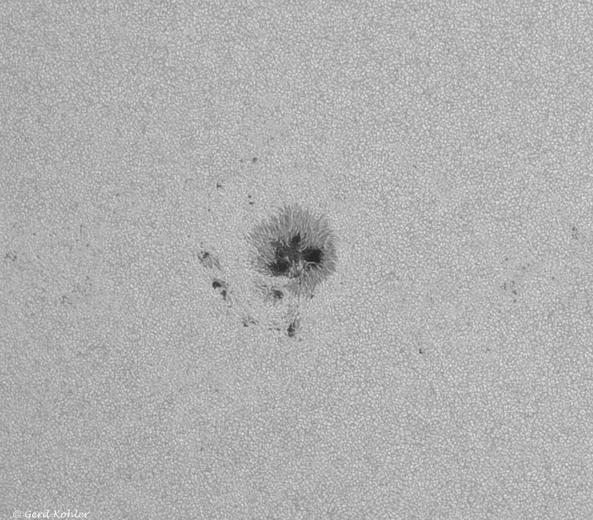 2026-06-25-AR-14475.jpg