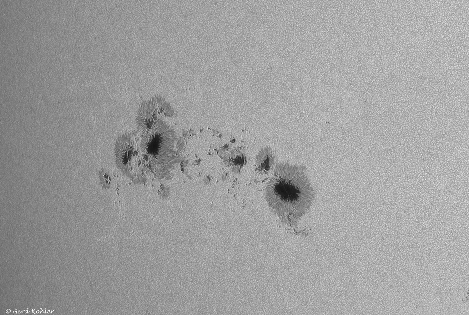 2026-06-27-AR-14478.jpg