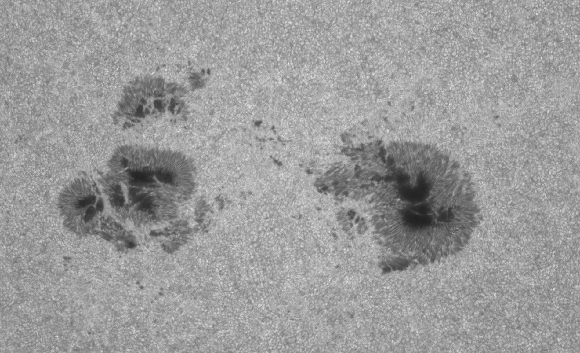 2026-06-30-0836_8-Sonne 250-3400-G-2nm_F40 (AR4478)_Registax-klein.jpg