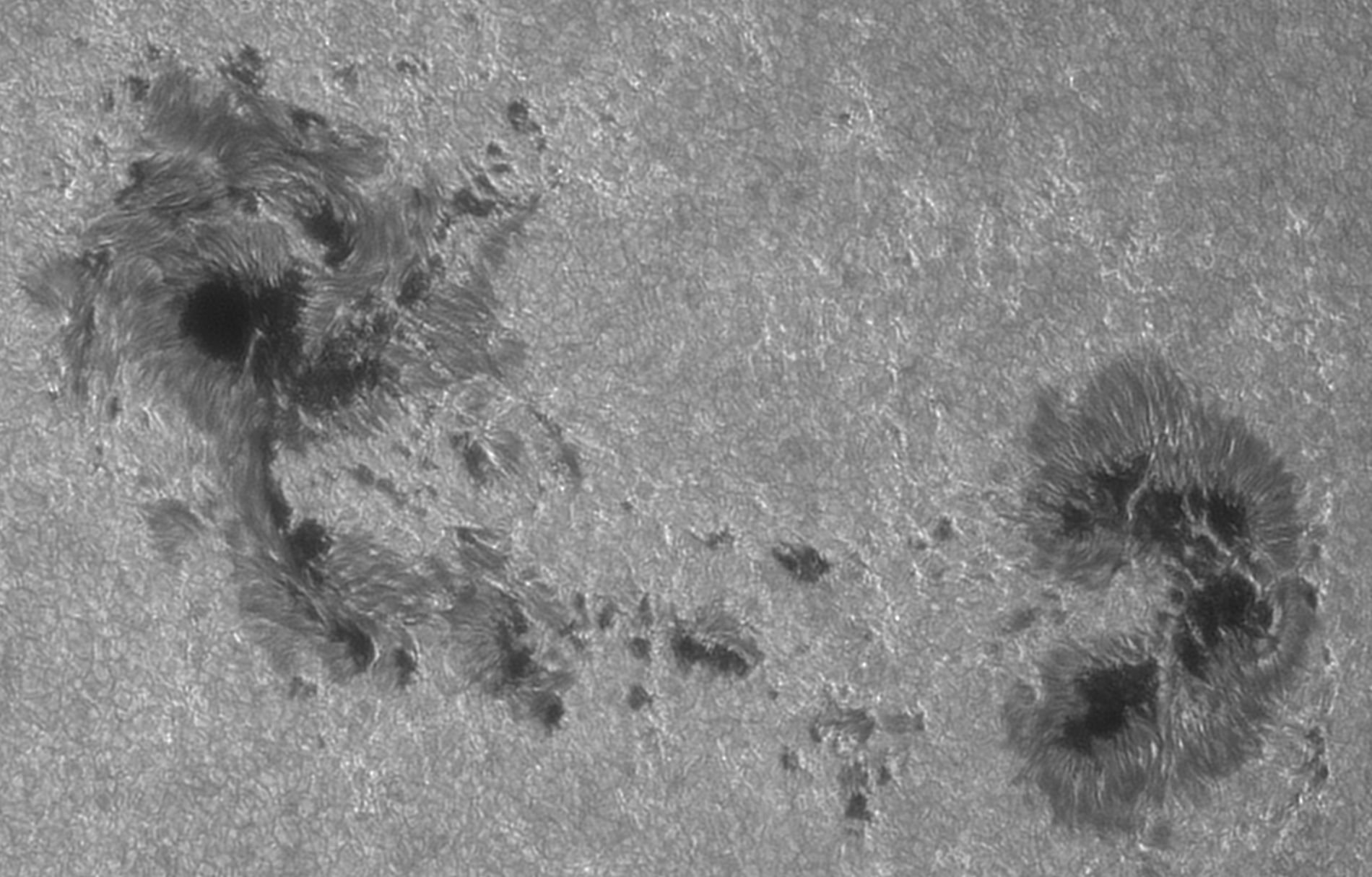 2026-07-02-0733_1-Sonne 250-3400-G-2nm_F40 (AR4479)-Registax-crop.jpg