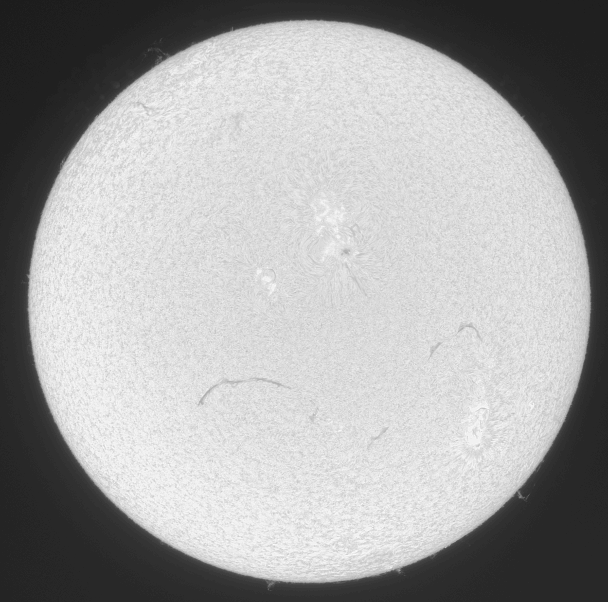 2026-07-10-1007_3-U-L-Sun_Halpha_g4_ap1109_conv_aligned_pipp.gif