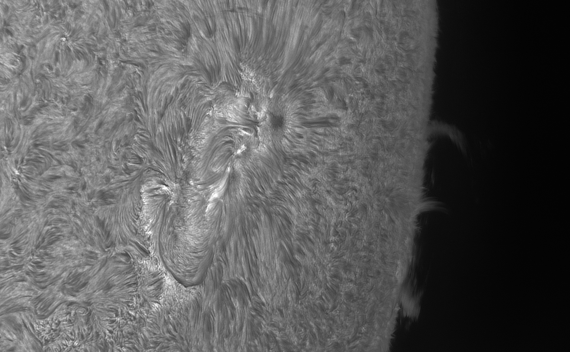 2026-07-11-0653_8-Sonne Ha Mak180-6400-DS-AM_P60 (AR4485) 1,5x-klein.jpg