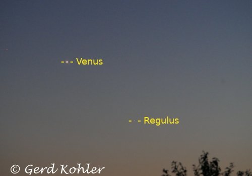 2026-07-11-Venus-Regulus-2.jpg