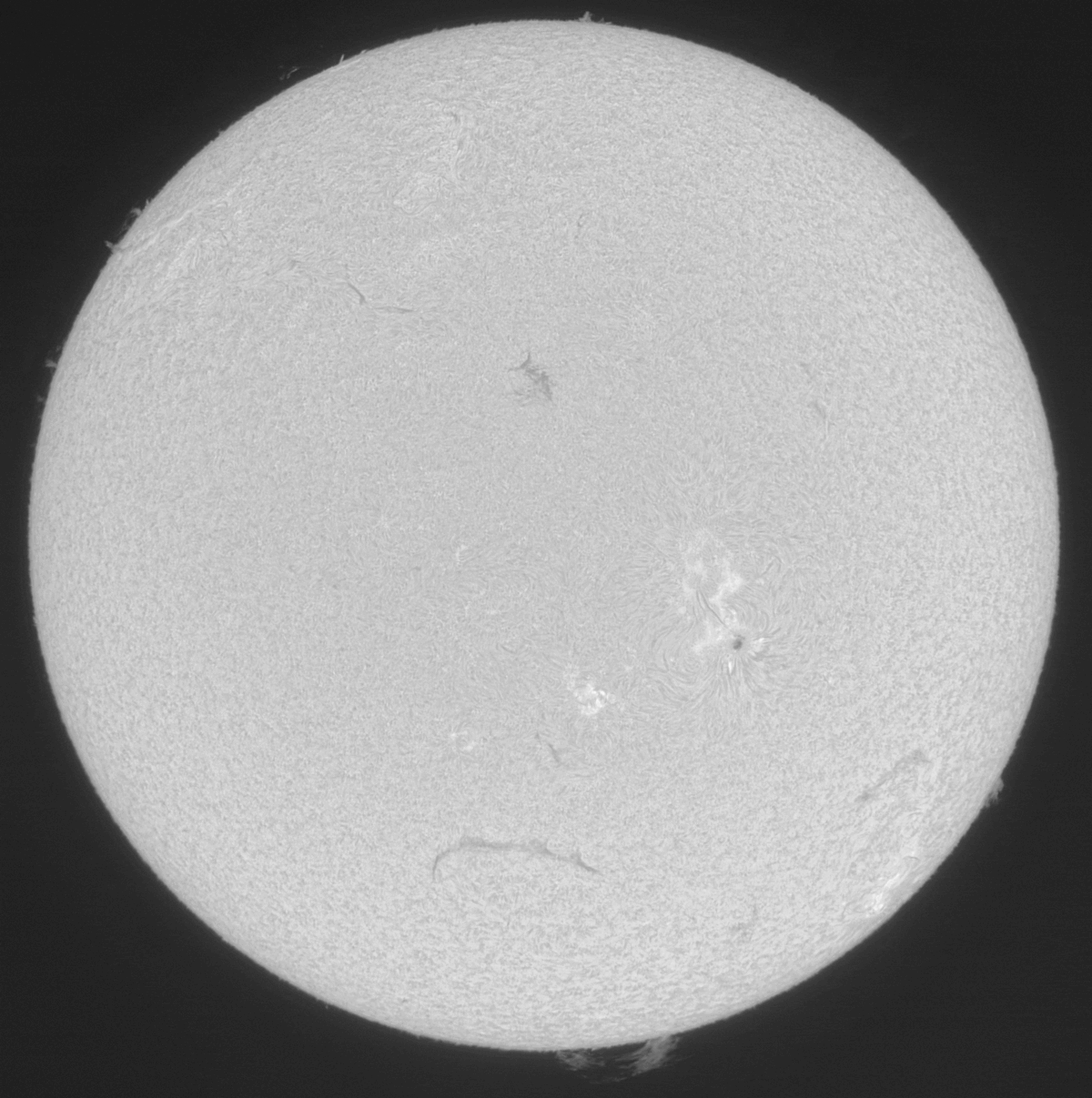 2026-07-12-0912_6-U-L-Sun_Halpha_g4_ap1158_conv_aligned_pipp(2).gif