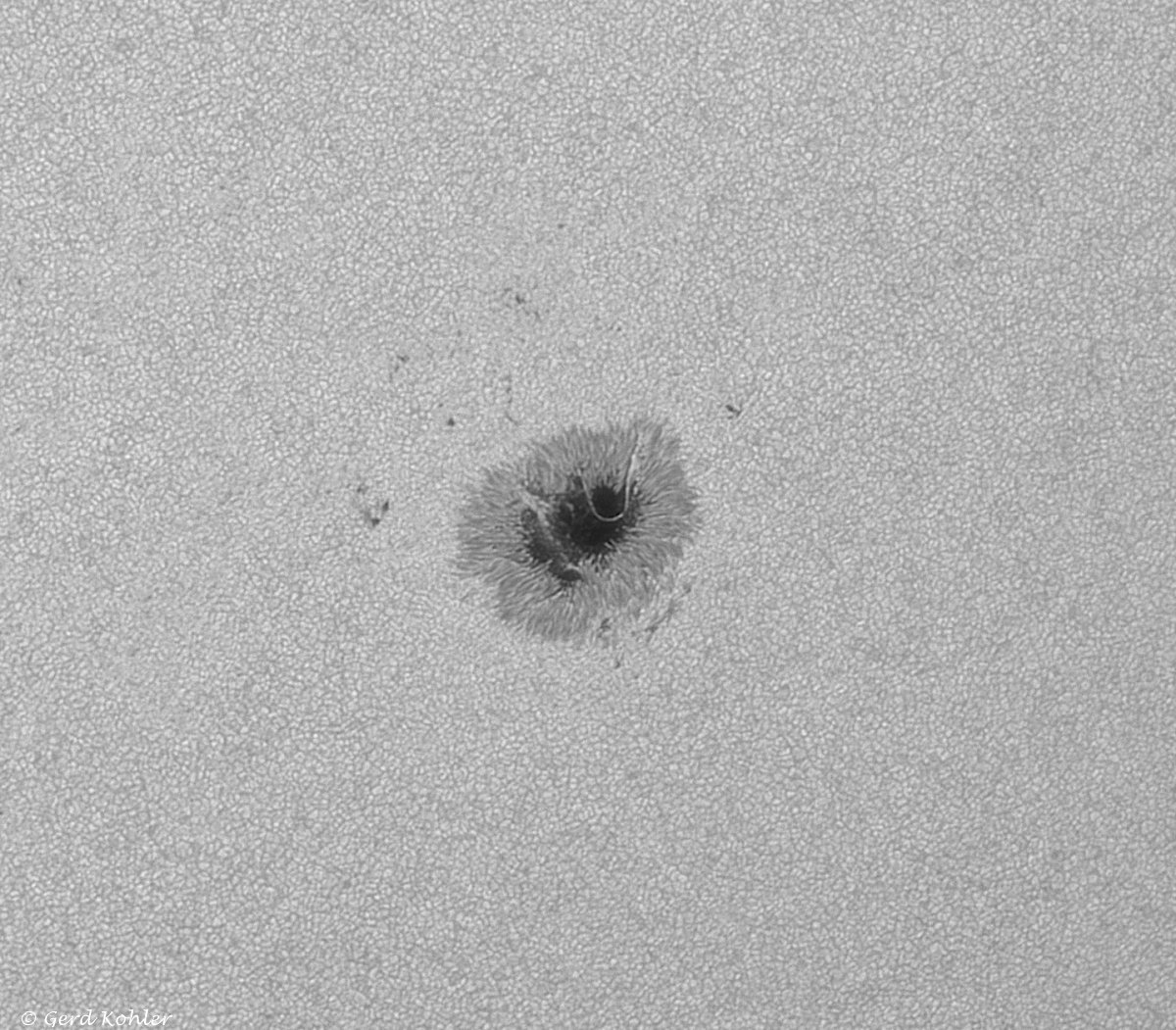 2026-07-12-AR-14482.jpg